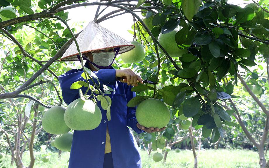 Xã Sảng Mộc