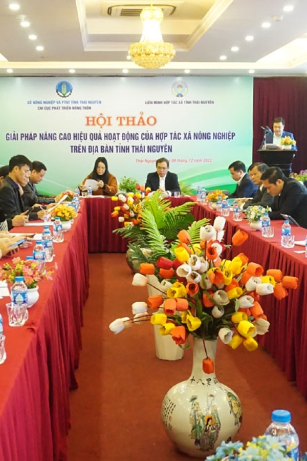 Thái Nguyên: Phát triển hiệu quả HTX nông nghiệp