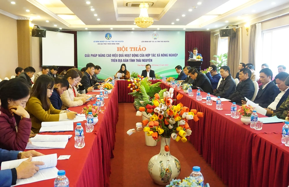 Thái Nguyên: Phát triển hiệu quả HTX nông nghiệp
