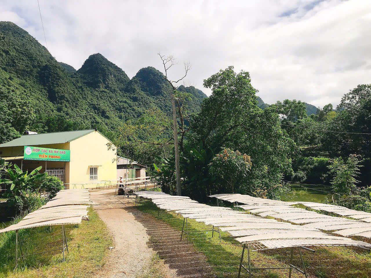 Hợp tác xã Tiền Phong
